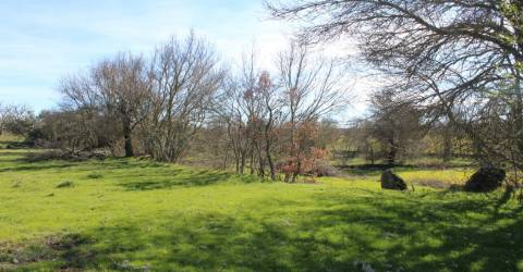 Terreno rústico, Miranda do Douro