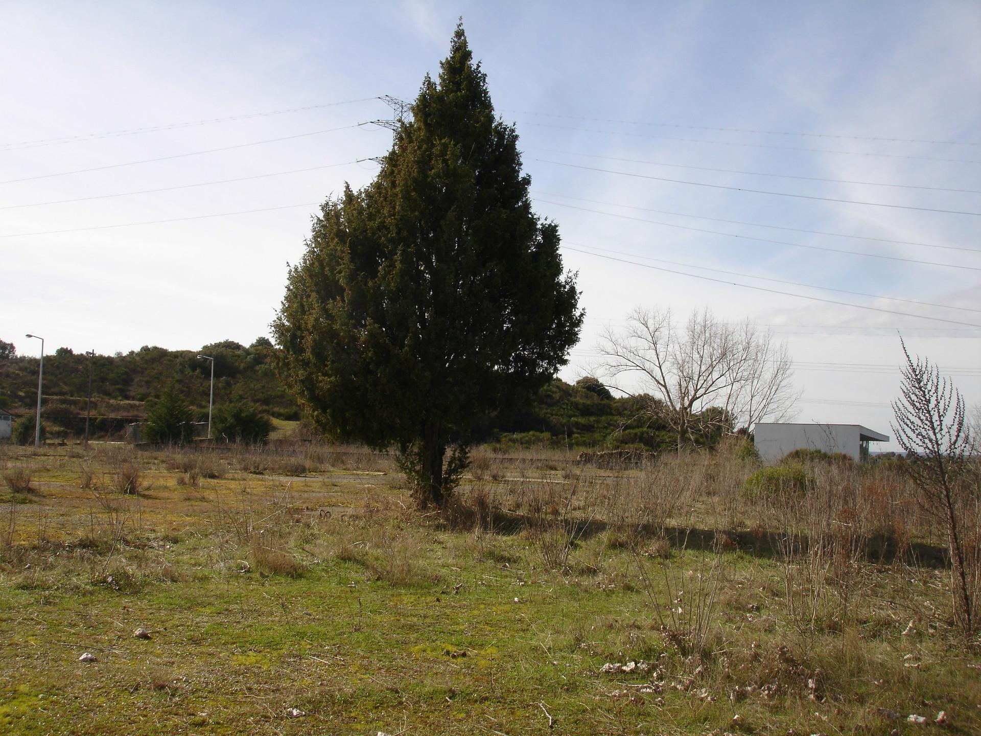 Terreno para construção, Cardal do Douro, Bemposta