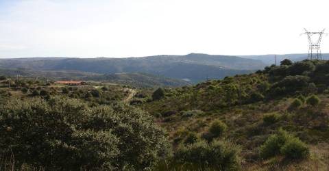 Terreno para construção, Cardal do Douro, Bemposta
