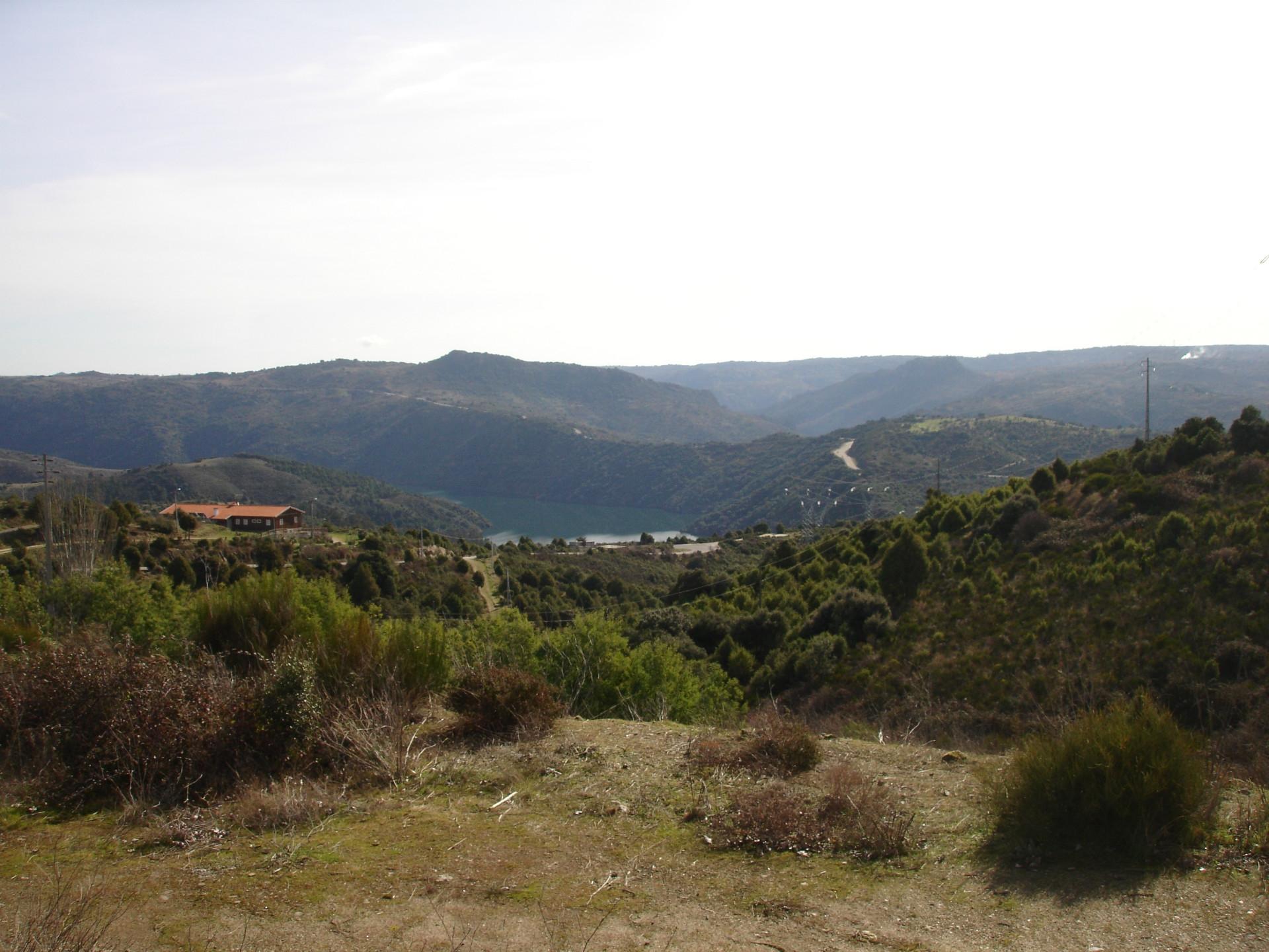 Terreno para construção, Cardal do Douro, Bemposta