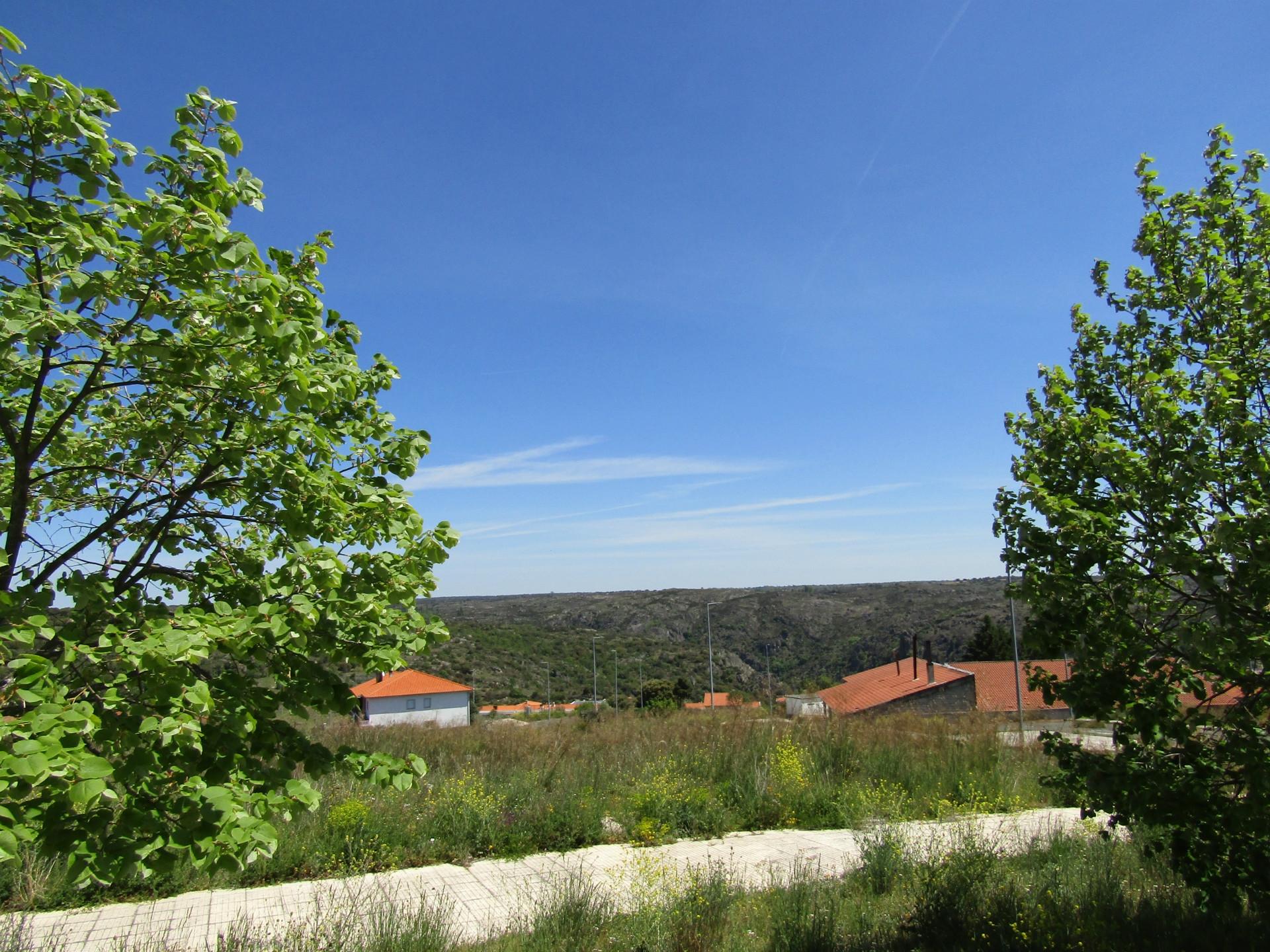 Lote de terreno, Miranda do Douro