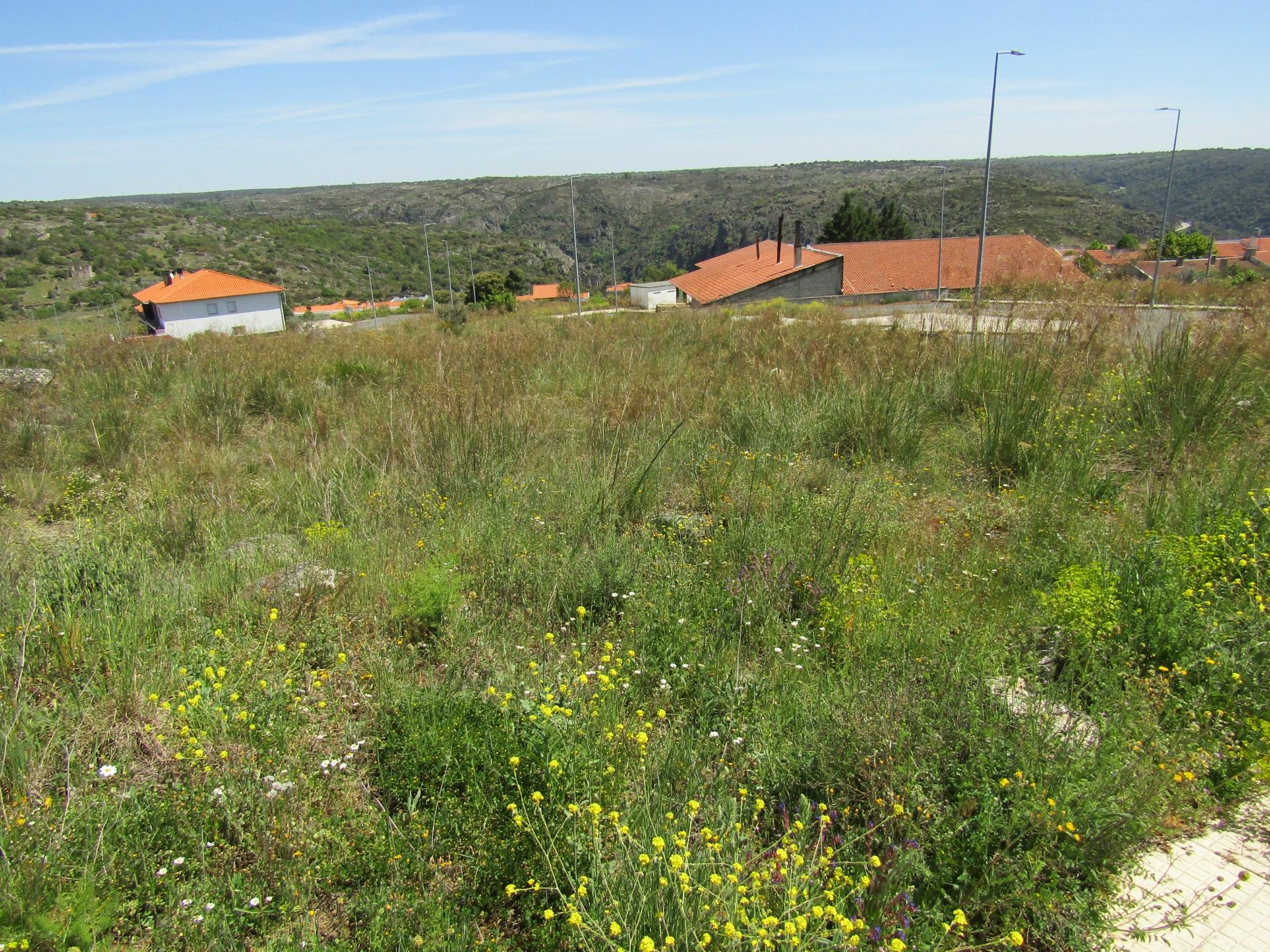 Lote de terreno, Miranda do Douro