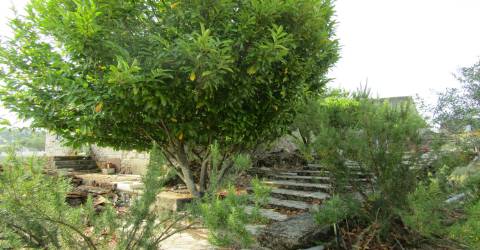 Quintinha em Caçarelhos, Vimioso