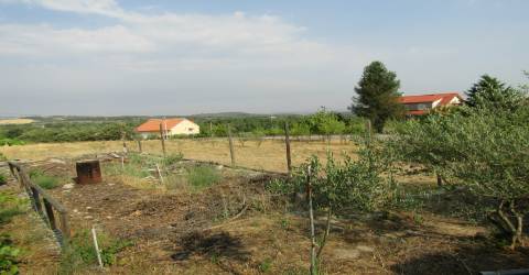 Quintinha em Caçarelhos, Vimioso