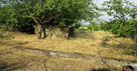Quintinha em Caçarelhos, Vimioso