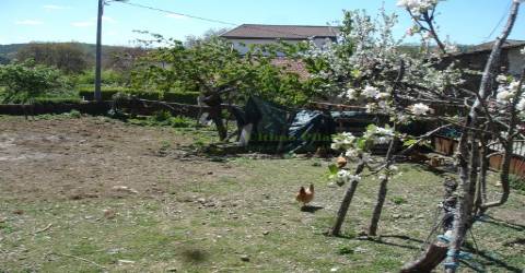 Moradia para Restaurar