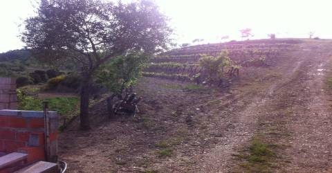 Quinta Parque Natural de Montesinho