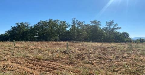 Terreno com cerca de 6000m2