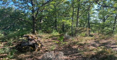 Terreno com cerca de 6000m2