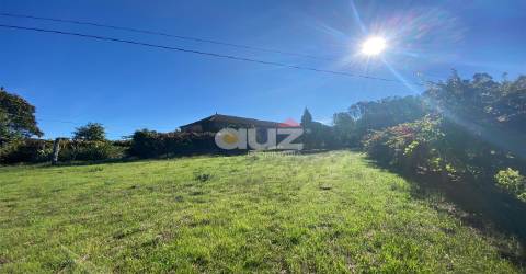 Herdade  Venda em Amarante (São Gonçalo), Madalena, Cepelos e Gatão,Amarante