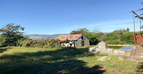 Herdade  Venda em Amarante (São Gonçalo), Madalena, Cepelos e Gatão,Amarante