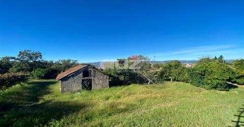 Herdade  Venda em Amarante (São Gonçalo), Madalena, Cepelos e Gatão,Amarante