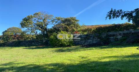 Herdade  Venda em Amarante (São Gonçalo), Madalena, Cepelos e Gatão,Amarante