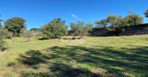 Herdade  Venda em Amarante (São Gonçalo), Madalena, Cepelos e Gatão,Amarante