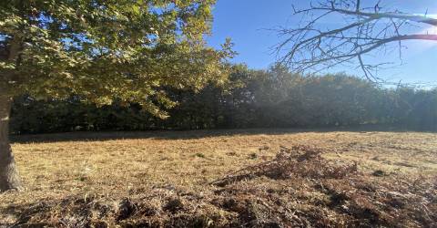 Terreno Rústico  Venda em Lomba,Amarante