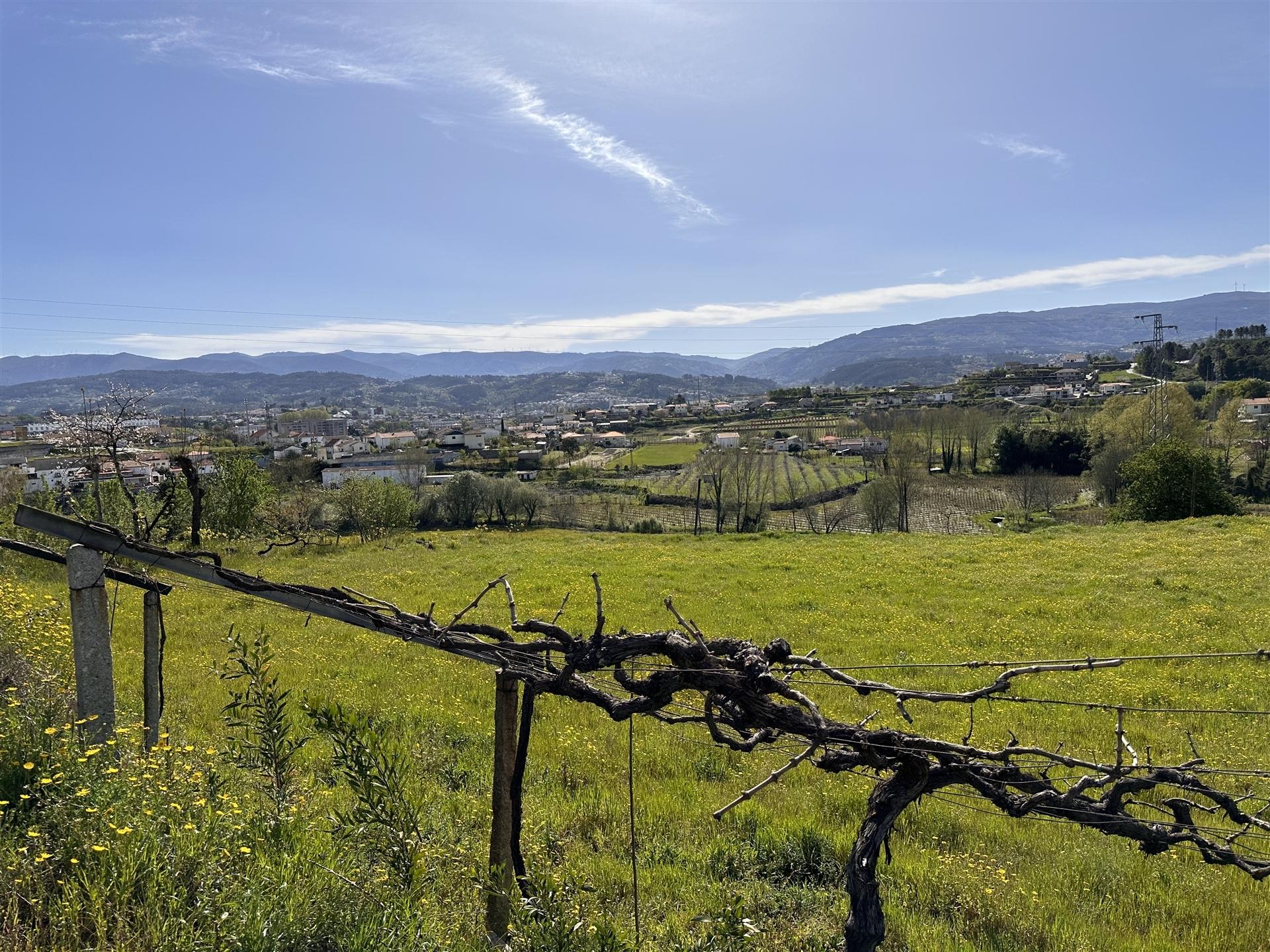 Terreno  Venda em Telões,Amarante