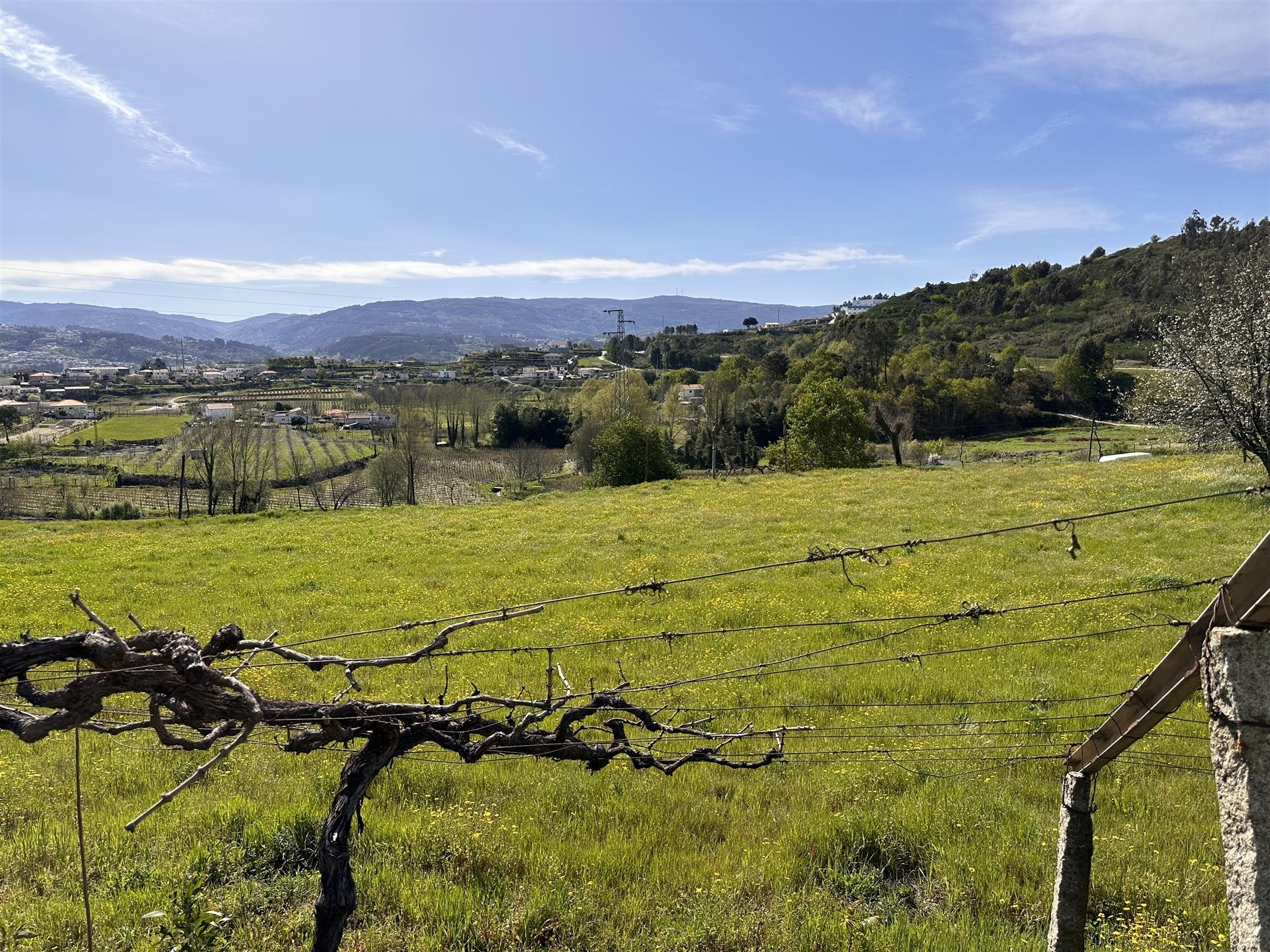 Terreno  Venda em Telões,Amarante