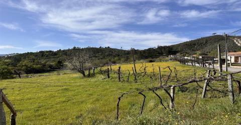 Terreno  Venda em Telões,Amarante