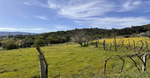 Terreno  Venda em Telões,Amarante