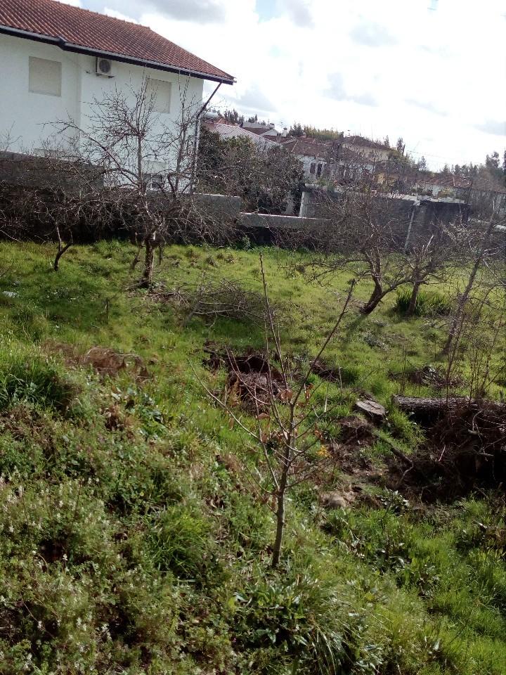 Terreno  Venda em Macieira de Sarnes,Oliveira de Azeméis