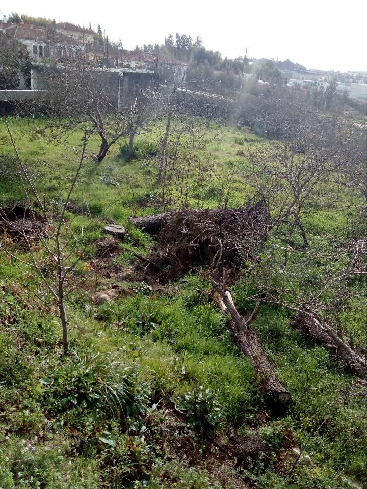 Terreno  Venda em Macieira de Sarnes,Oliveira de Azeméis