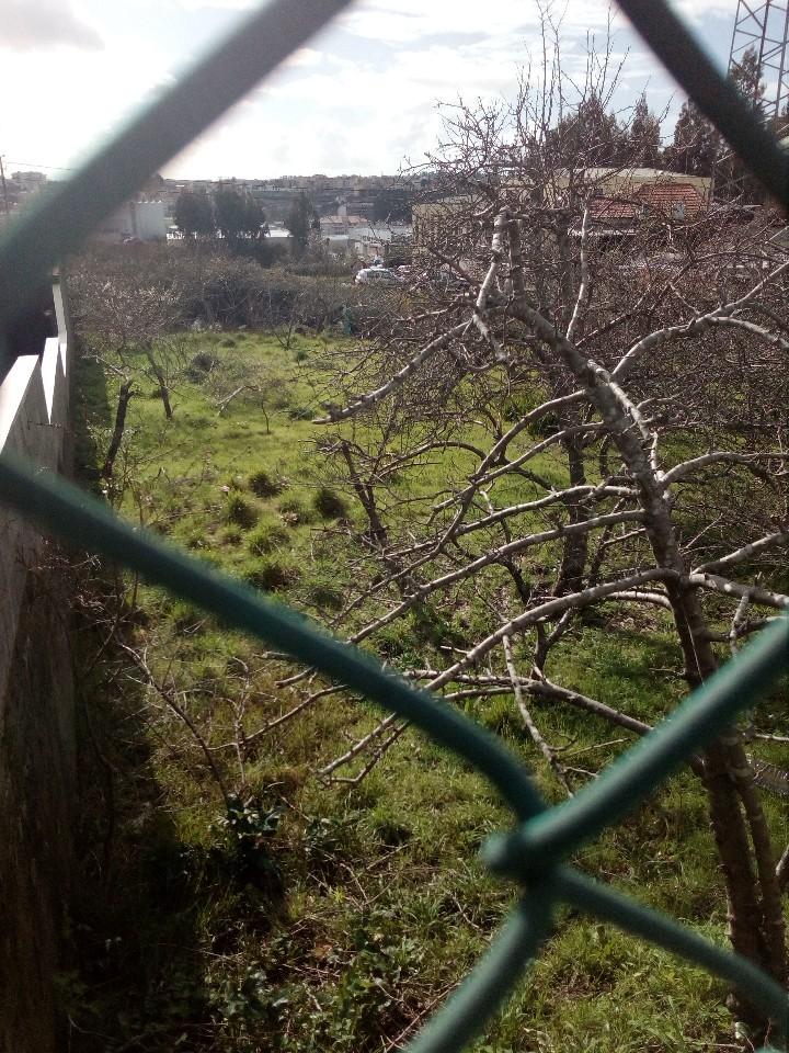 Terreno  Venda em Macieira de Sarnes,Oliveira de Azeméis