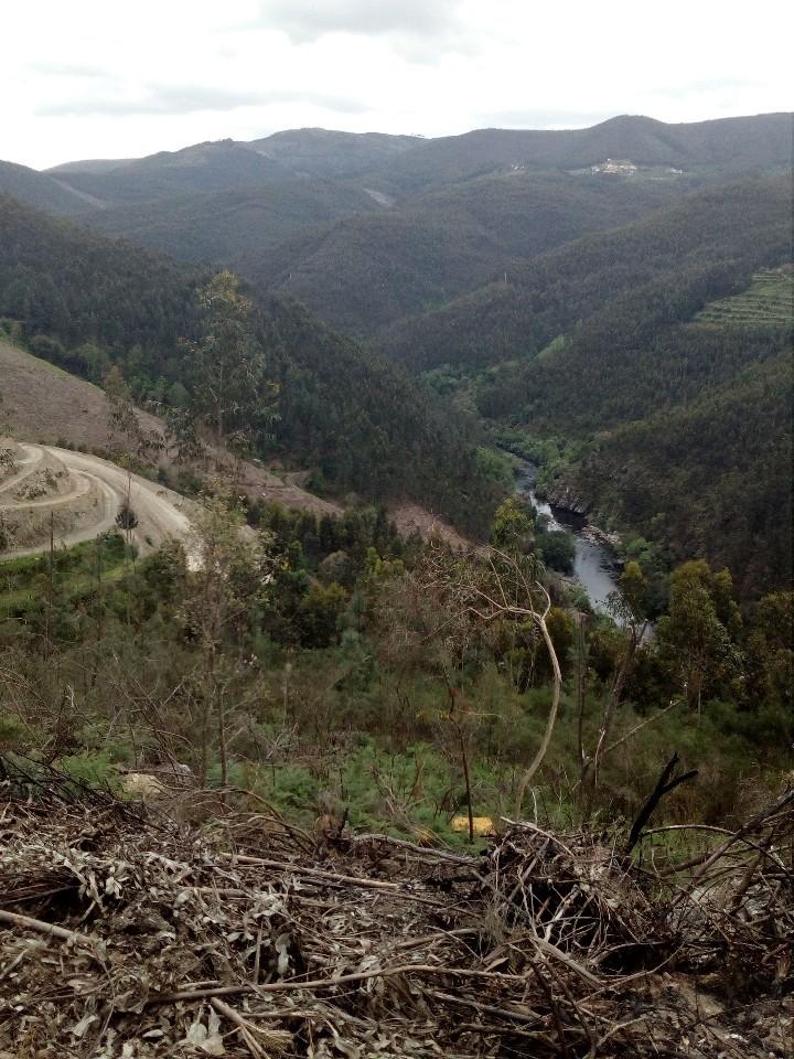 Terreno, Espiunca, Arouca