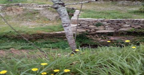 Terreno em Espiunca, Arouca, ideal para investimento turístico.