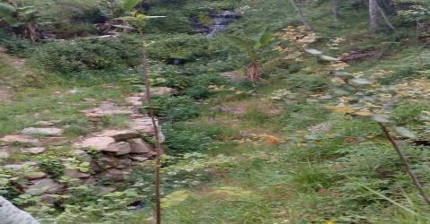 Terreno em Espiunca, Arouca, ideal para investimento turístico.