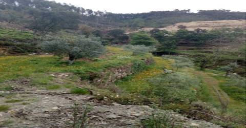 Terreno em Espiunca, Arouca, ideal para investimento turístico.