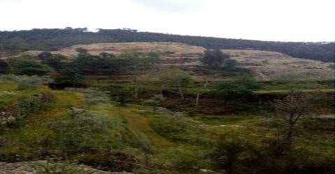 Terreno em Espiunca, Arouca, ideal para investimento turístico.