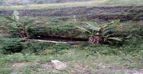 Terreno em Espiunca, Arouca, ideal para investimento turístico.