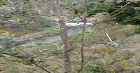 Terreno em Espiunca, Arouca, ideal para investimento turístico.