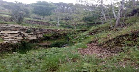 Terreno em Espiunca, Arouca, ideal para investimento turístico.