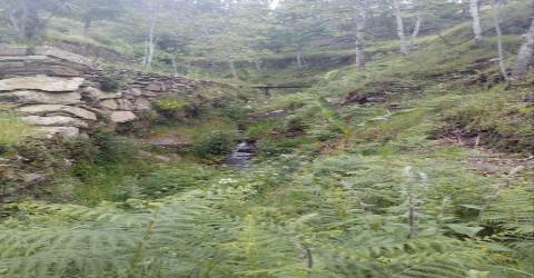 Terreno em Espiunca, Arouca, ideal para investimento turístico.