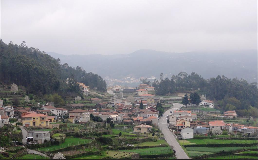 Terreno  Venda em São Pedro de Castelões,Vale de Cambra