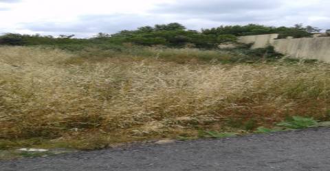 Terreno Urbano em S.João da Madeira
