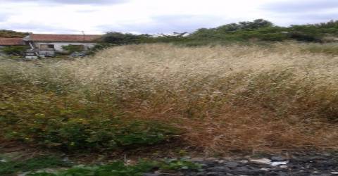 Terreno Urbano em S.João da Madeira