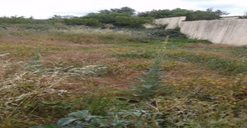 Terreno Urbano em S.João da Madeira