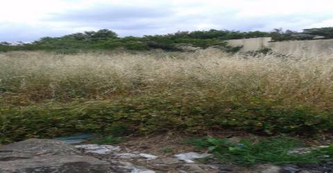 Terreno Urbano em S.João da Madeira