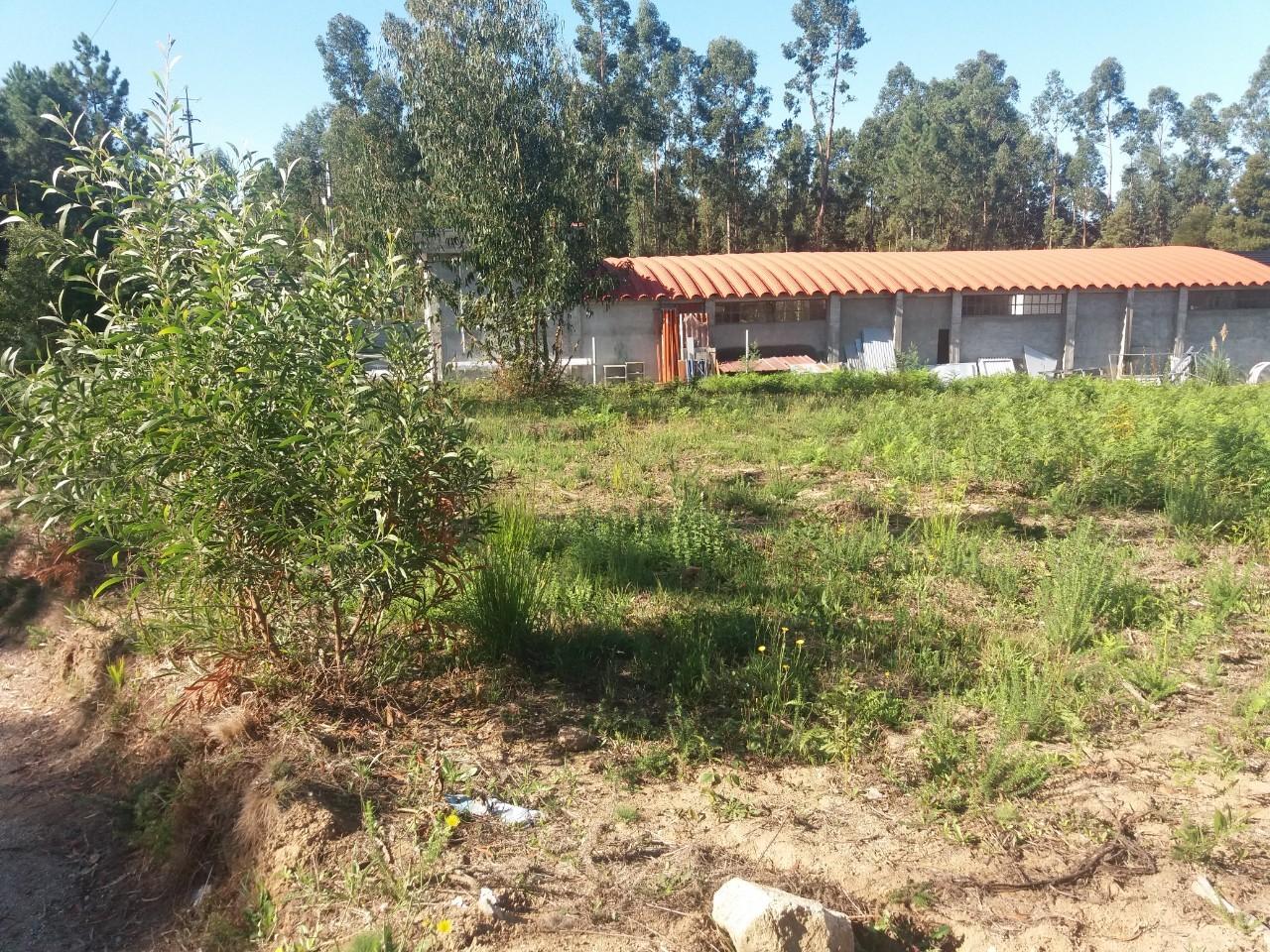 Terreno  Venda em Lobão, Gião, Louredo e Guisande,Santa Maria da Feira