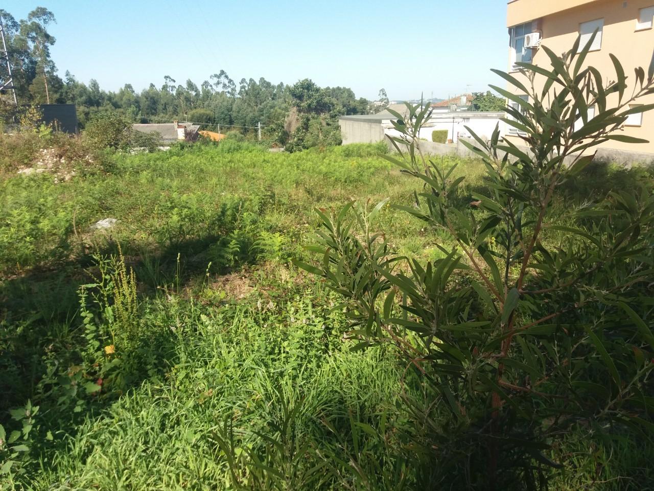 Terreno  Venda em Lobão, Gião, Louredo e Guisande,Santa Maria da Feira