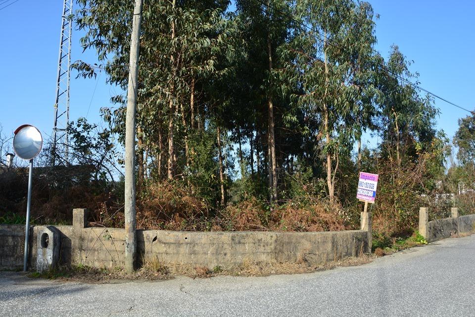 Terreno  Venda em São Roque,Oliveira de Azeméis