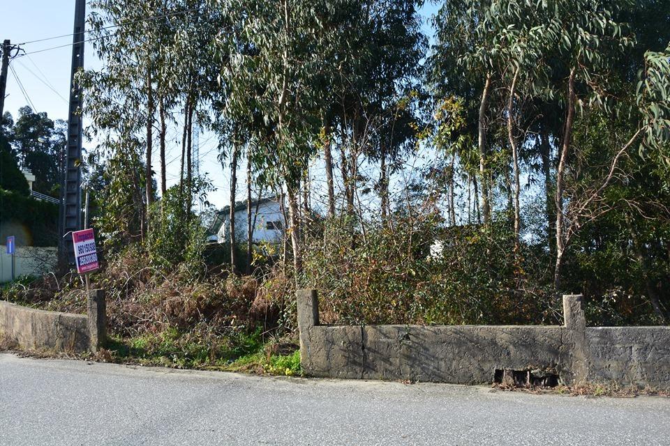 Terreno  Venda em São Roque,Oliveira de Azeméis