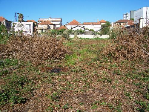 Terreno  Venda em Cortegaça,Ovar