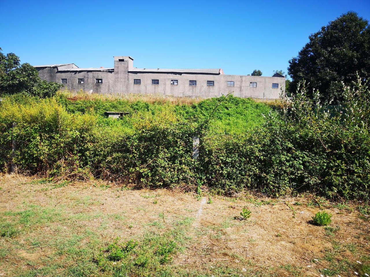 Terreno  Venda em Lourosa,Santa Maria da Feira