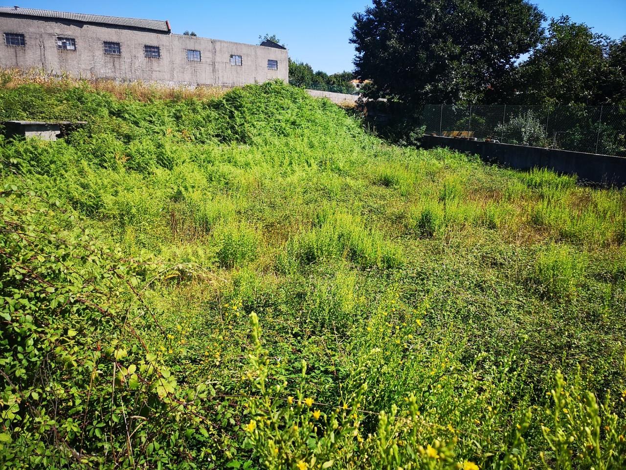 Terreno  Venda em Lourosa,Santa Maria da Feira