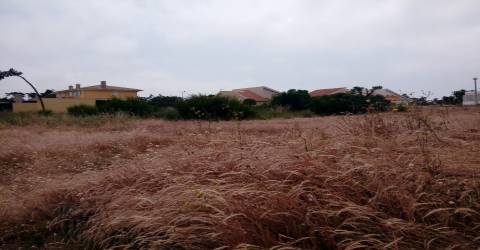 Terreno para construção na Torreira, Aveiro