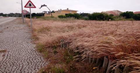 Terreno para construção na Torreira, Aveiro