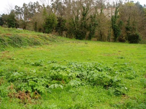 Terreno  Venda em Fornos,Santa Maria da Feira